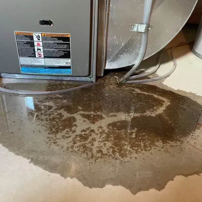 Appliance Leak Cleanup in Lake Saint Louis, MO